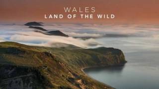 Уэльс: дикая земля 3 серия. Жара / Wales: The Land of the Wild (2018)