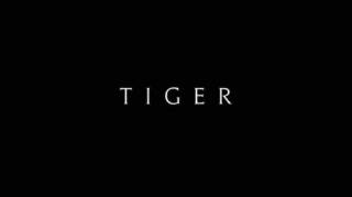 Тайгер 1 серия / Tiger (2020)