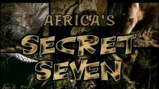 Тайная семерка Африки / Africa's Secret Seven (2003)
