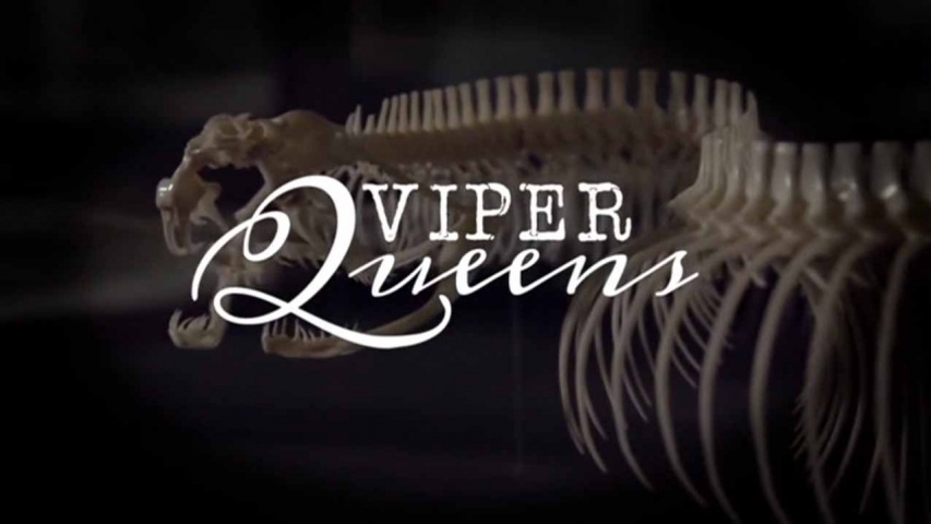 Королевы гадюк / Viper Queens (2016)