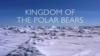 Королевство белых медведей 2 серия. Путешествие медвежонка / Kingdom of the Polar Bears (2021)