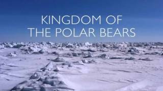 Королевство белых медведей 2 серия. Путешествие медвежонка / Kingdom of the Polar Bears (2021)