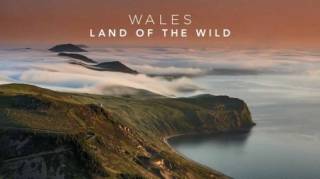 Уэльс: дикая земля 2 серия. Весенние испытания / Wales: The Land of the Wild (2018)