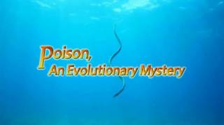Яд. Достижение эволюции (3 серии из 3) / Poison, an evolutionary mystery (2015)
