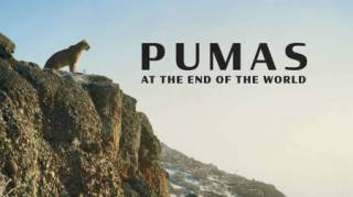 Пумы на краю света 1 серия. Рождение / Pumas At The End of The World (2020)