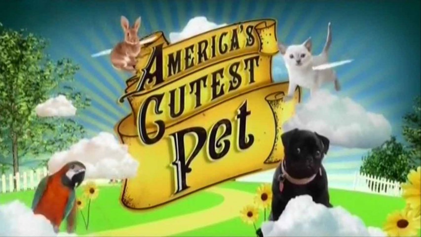 Самые милые питомцы Америки 1 серия. Коронованные питомцы - кошки (2013)