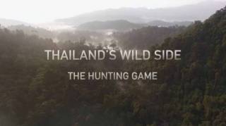 Дикие места Таиланда 1 серия. Охотничьи игры / Thailand's Wild Side (2019)