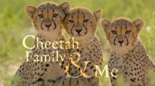 Семейка Гепардов и Я / Cheetah Family & Me (2021)