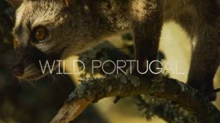 Дикая Португалия / Wild Portugal (2019)