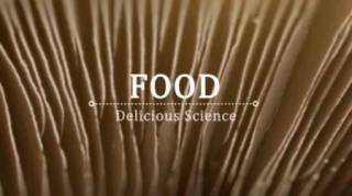 Вкусная наука 3 серия. Пища для мозга / Food — Delicious Science (2017)