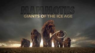 Мамонты. Гиганты ледникового периода / Mammoths: Giants of the Ice Age (2014)